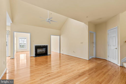 Media Image 3