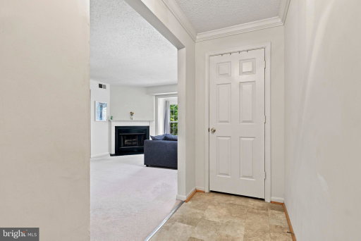 Media Image 2