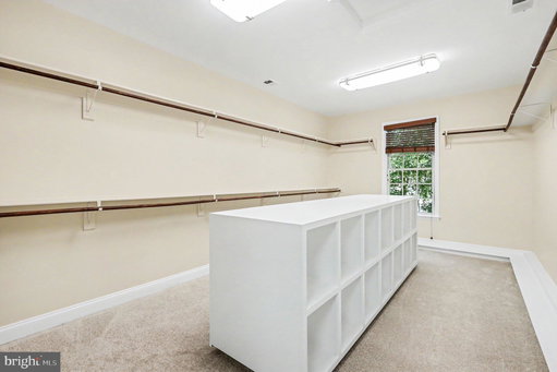 Media Image 3