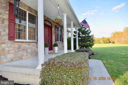 Media Image 3
