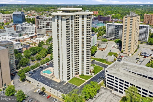 Media Image 2