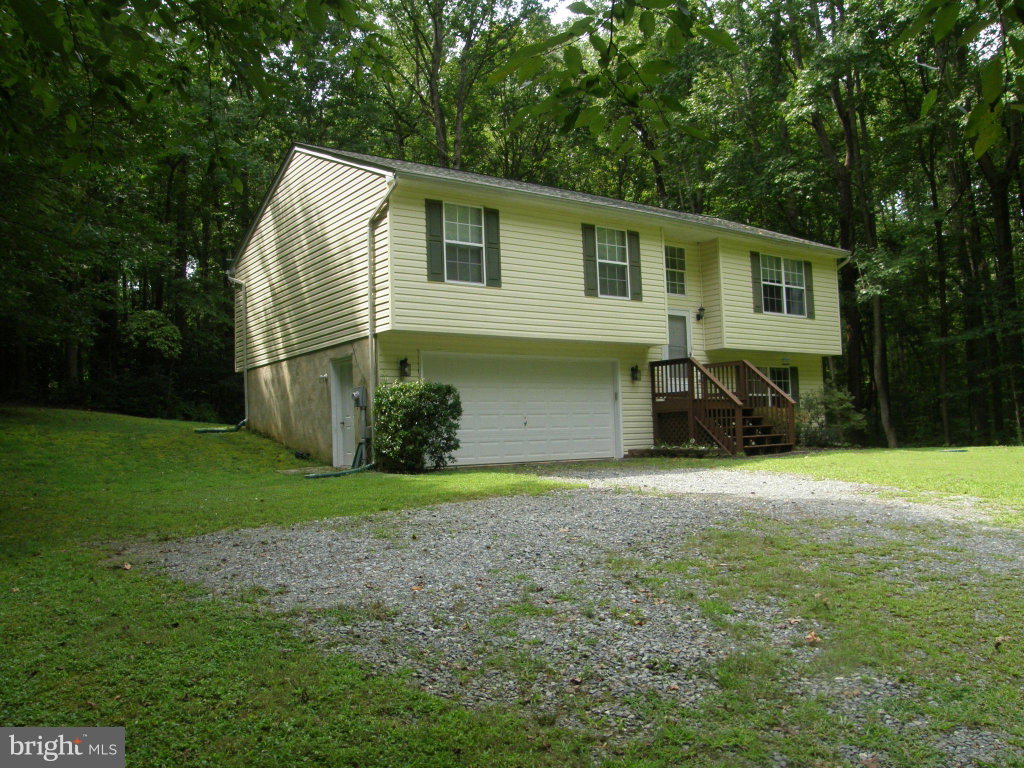 Media Image 1