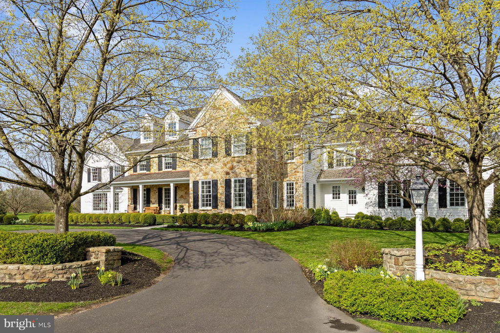 Media Image 1