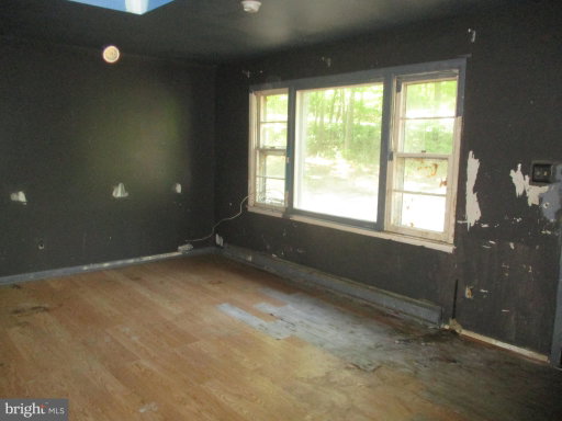 Media Image 3