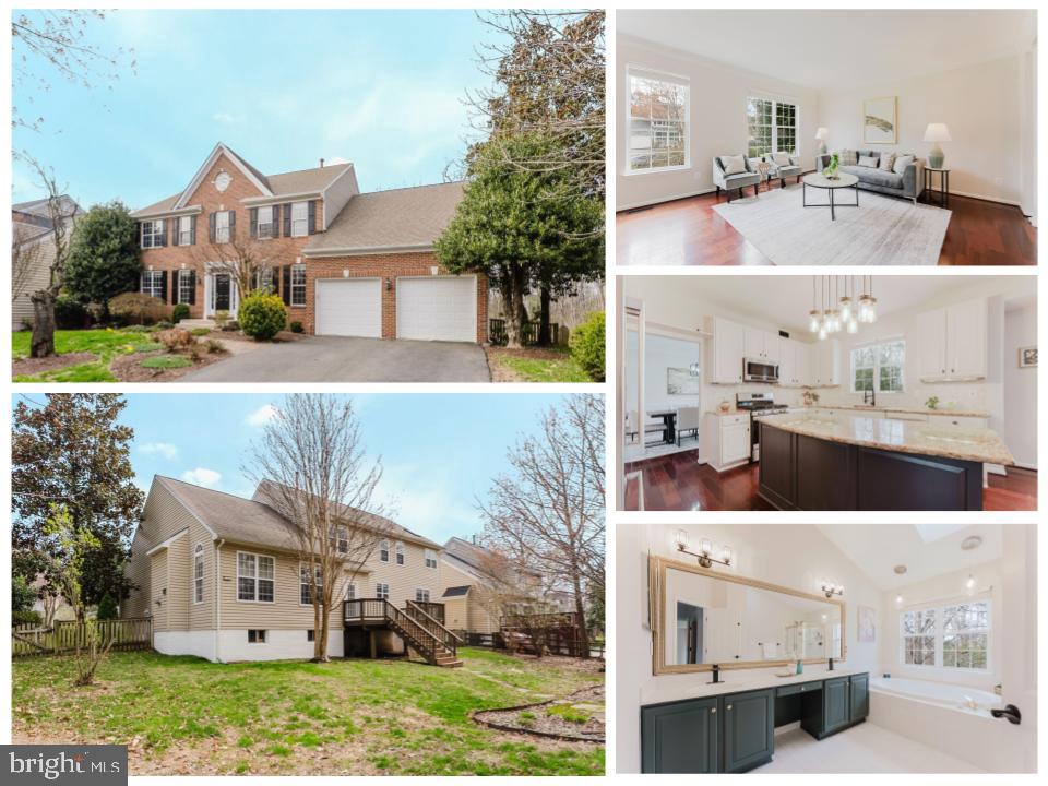 Media Image 1