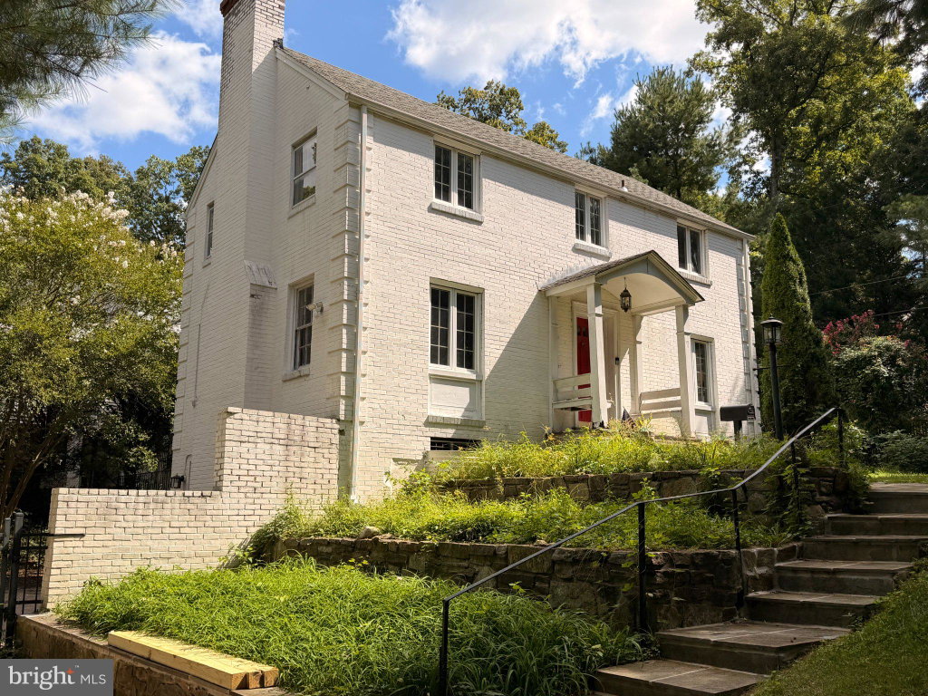 Media Image 1