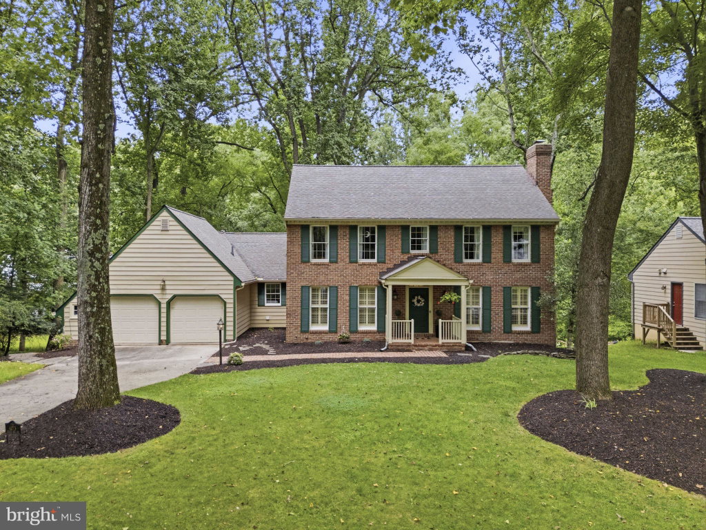 Media Image 1