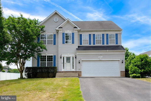 Media Image 3
