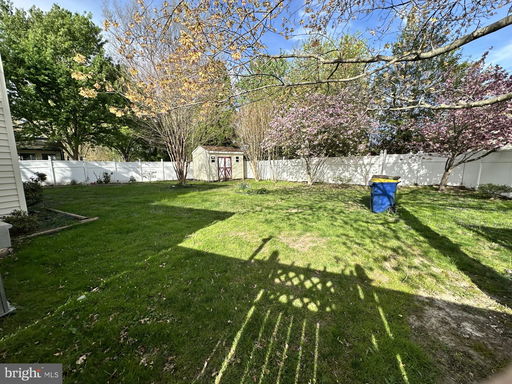 Media Image 2