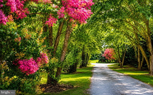 Media Image 2