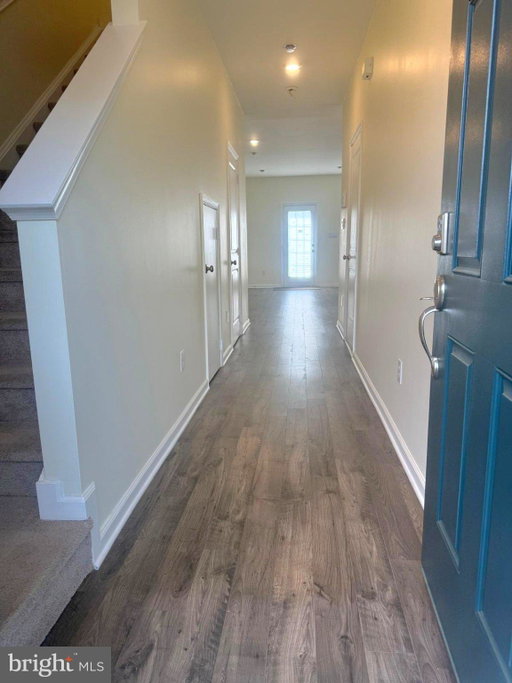 Media Image 2