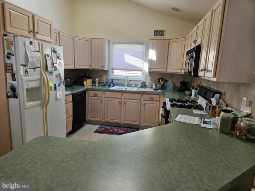 Media Image 3