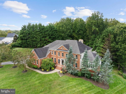 Media Image 2