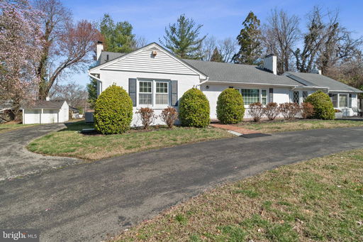 Media Image 3
