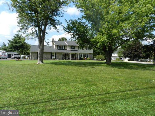 Media Image 3