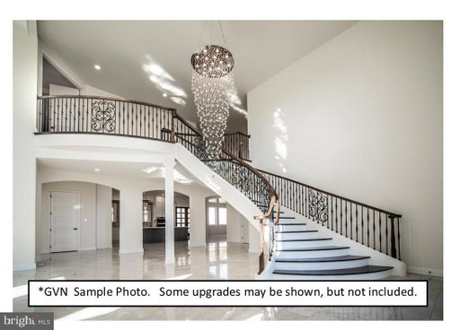 Media Image 2