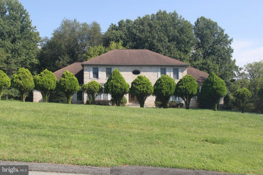 Media Image 3