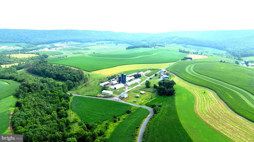 Media Image 3