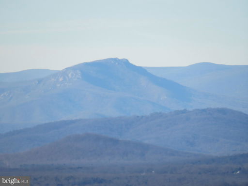 Media Image 2