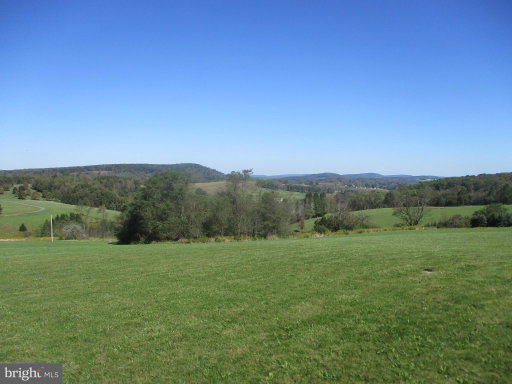 Media Image 2