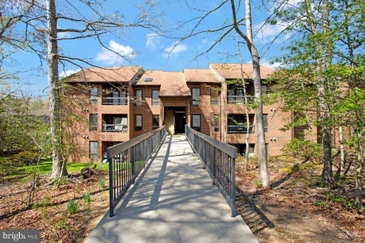 Media Image 2