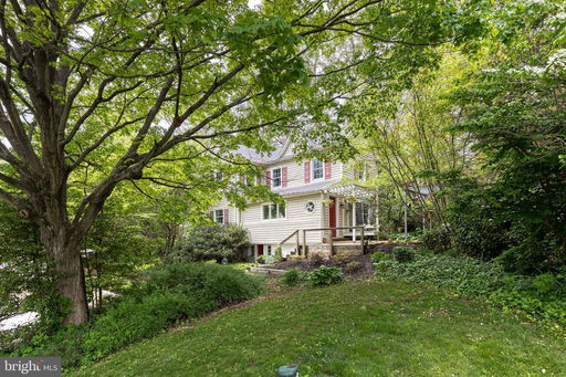 Media Image 3