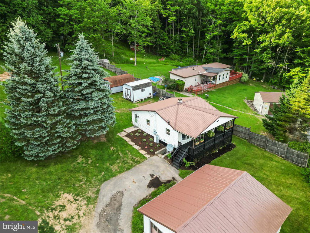 Media Image 1