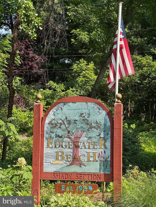 Media Image 2