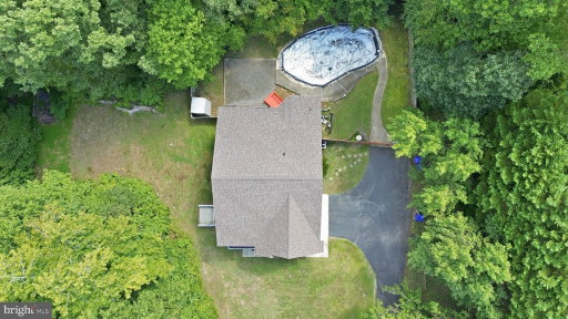 Media Image 2