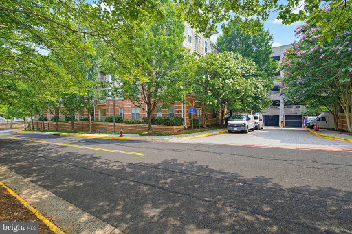 Media Image 2