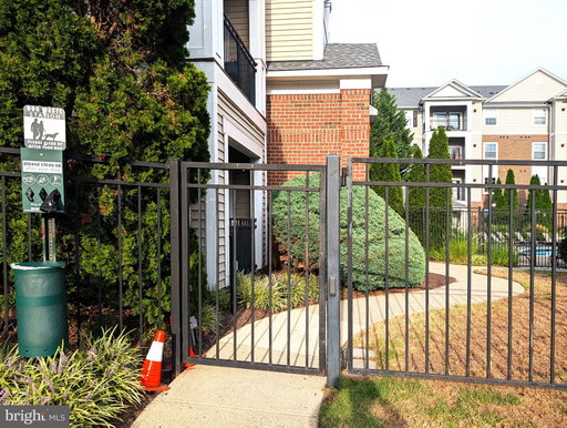 Media Image 3