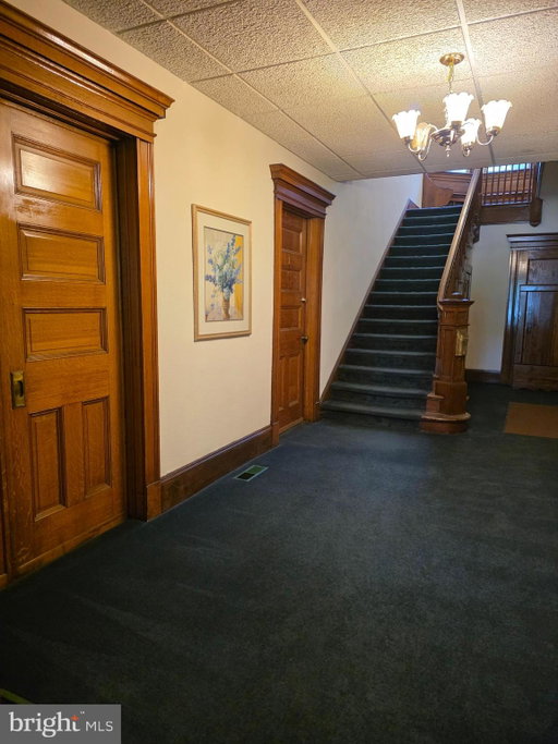 Media Image 3
