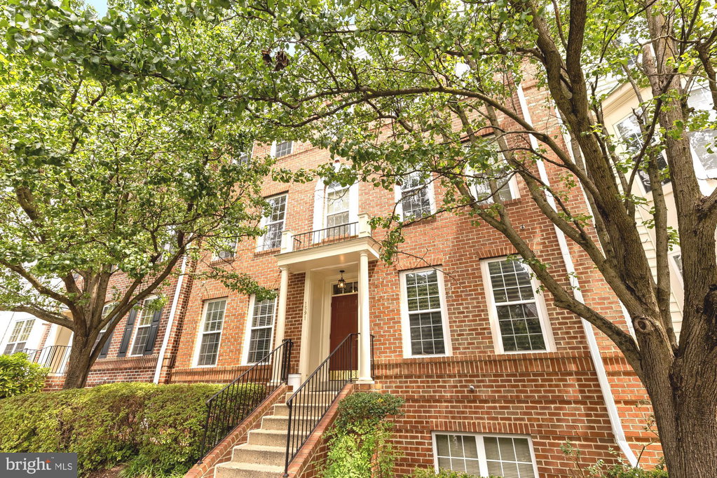 Media Image 1