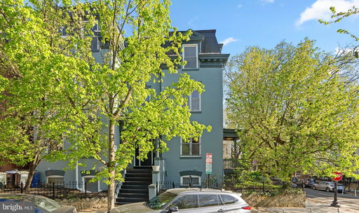 Media Image 2
