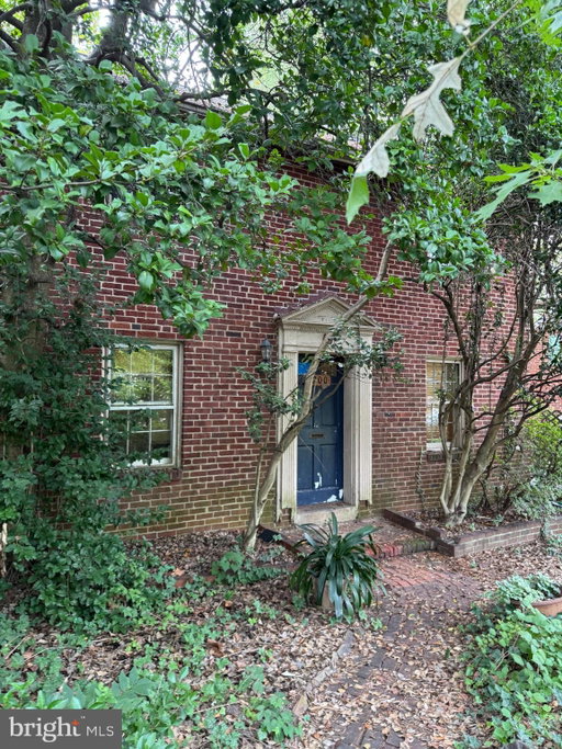 Media Image 3