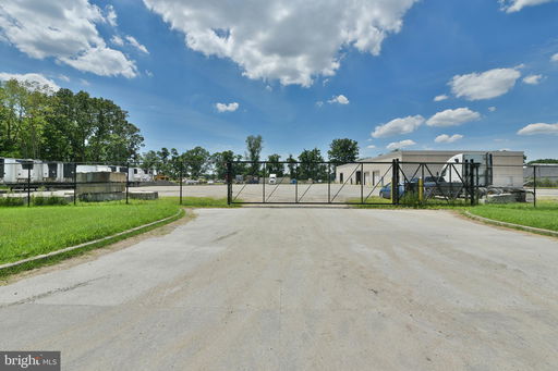 Media Image 3