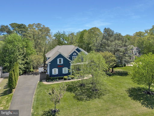 Media Image 2