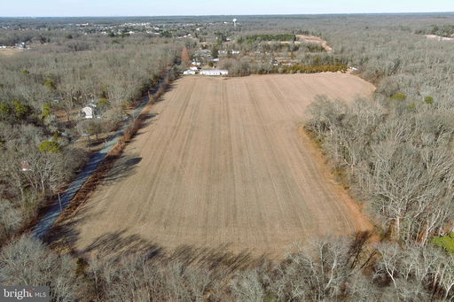 Media Image 3