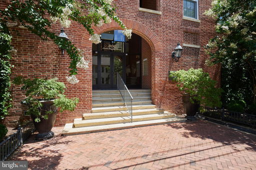 Media Image 2