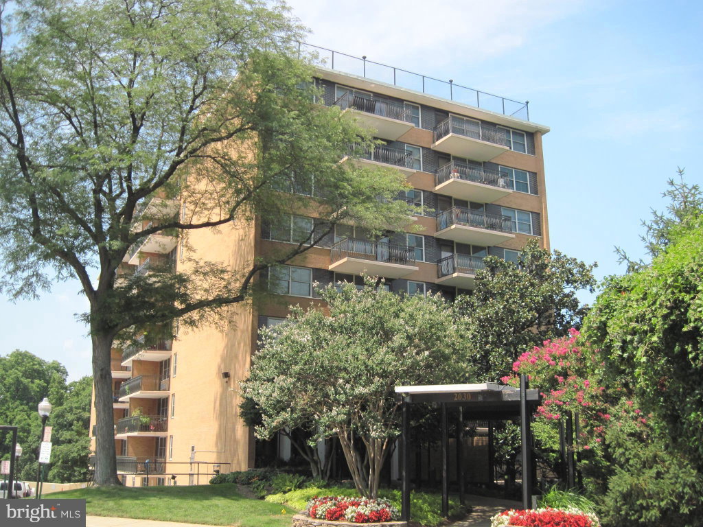 Media Image 1