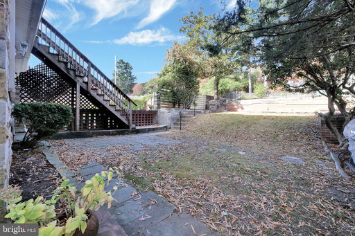Media Image 3