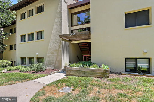 Media Image 2