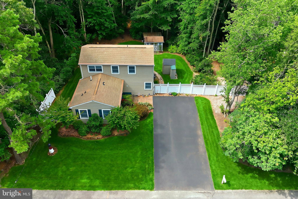 Media Image 1