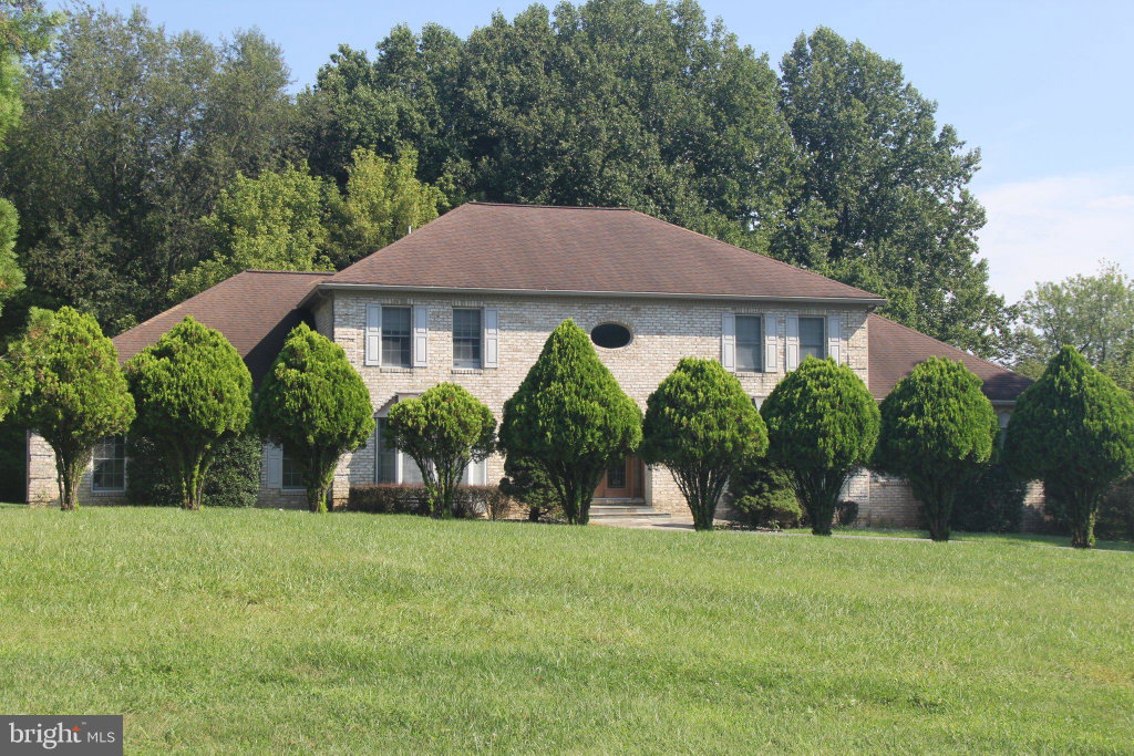 Media Image 1