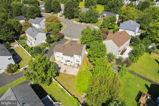 Media Image 3