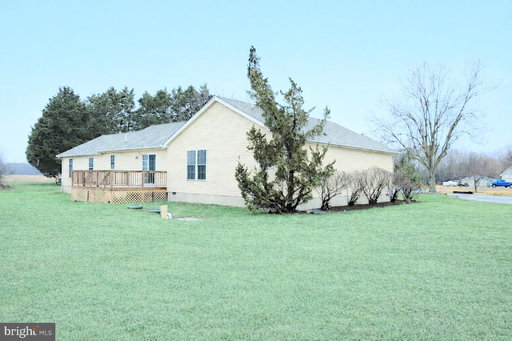 Media Image 3