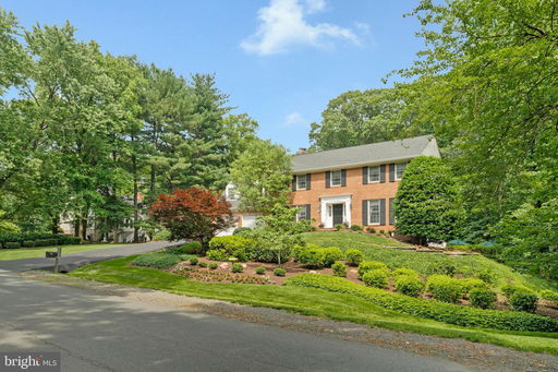 Media Image 2