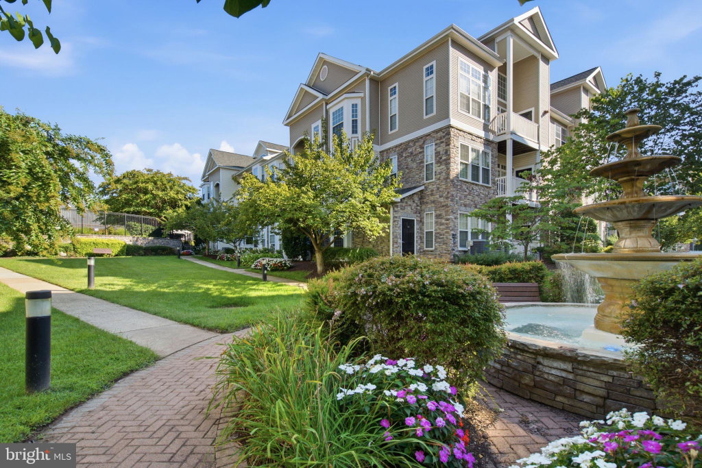 Media Image 1