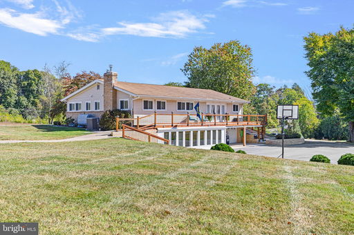 Media Image 3