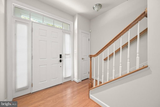 Media Image 3